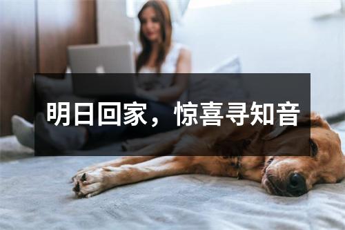 明日回家，惊喜寻知音