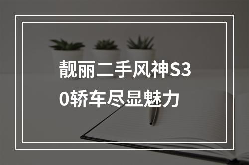靓丽二手风神S30轿车尽显魅力