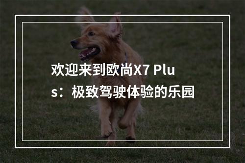 欢迎来到欧尚X7 Plus：极致驾驶体验的乐园