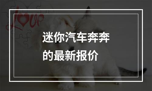 迷你汽车奔奔的最新报价