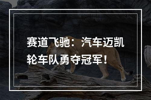 赛道飞驰：汽车迈凯轮车队勇夺冠军！