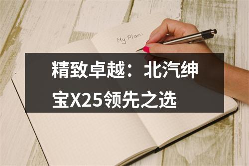 精致卓越：北汽绅宝X25领先之选