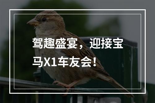驾趣盛宴，迎接宝马X1车友会！