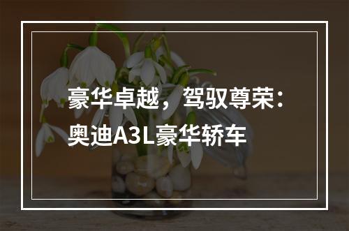 豪华卓越，驾驭尊荣：奥迪A3L豪华轿车