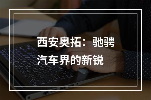 西安奥拓：驰骋汽车界的新锐