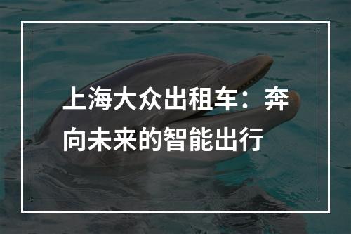 上海大众出租车：奔向未来的智能出行