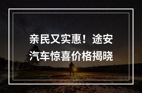 亲民又实惠！途安汽车惊喜价格揭晓