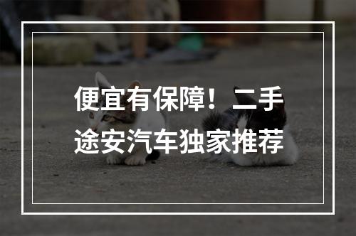 便宜有保障！二手途安汽车独家推荐