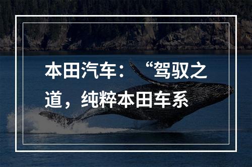 本田汽车：“驾驭之道，纯粹本田车系