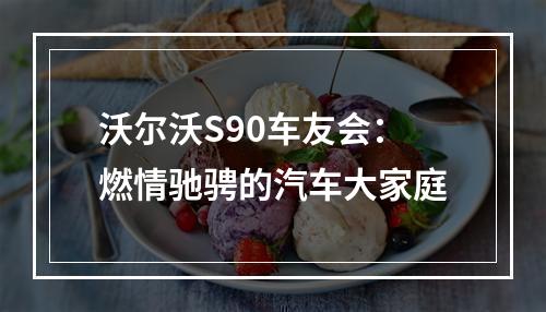 沃尔沃S90车友会：燃情驰骋的汽车大家庭