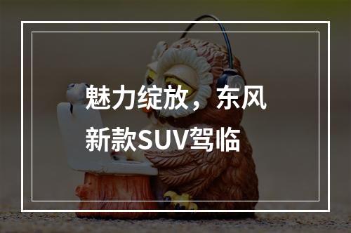 魅力绽放，东风新款SUV驾临