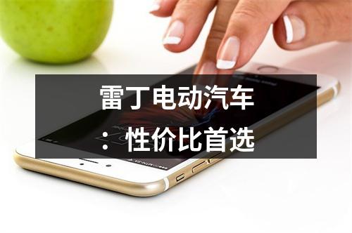 雷丁电动汽车：性价比首选