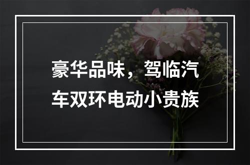 豪华品味，驾临汽车双环电动小贵族