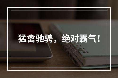 猛禽驰骋，绝对霸气！