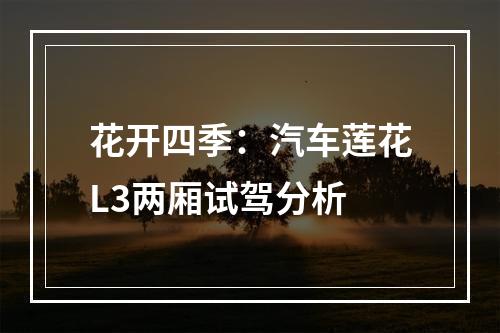 花开四季：汽车莲花L3两厢试驾分析