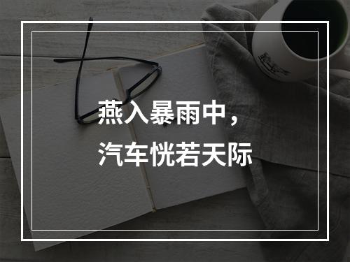 燕入暴雨中，汽车恍若天际