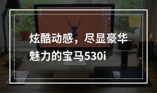 炫酷动感，尽显豪华魅力的宝马530i