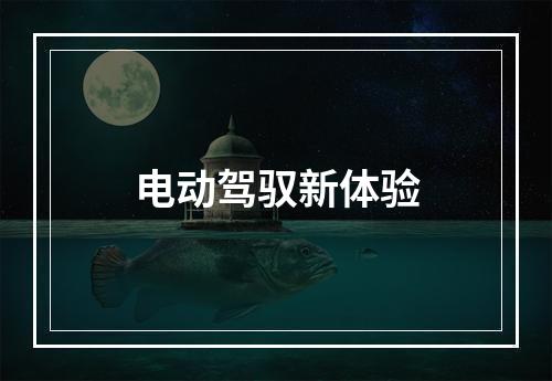 电动驾驭新体验