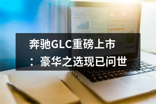 奔驰GLC重磅上市：豪华之选现已问世