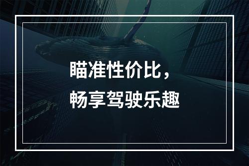 瞄准性价比，畅享驾驶乐趣