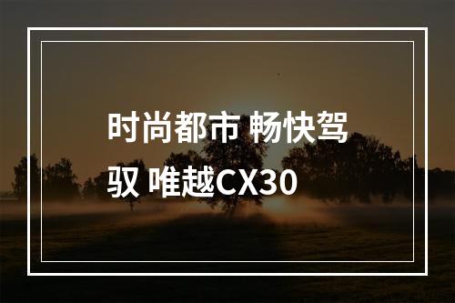 时尚都市 畅快驾驭 唯越CX30