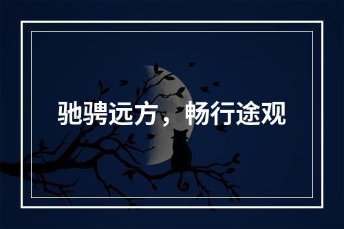 驰骋远方，畅行途观