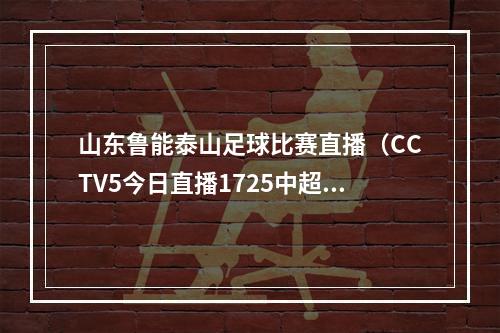 山东鲁能泰山足球比赛直播（CCTV5今日直播1725中超第24轮山东泰山上海申花）