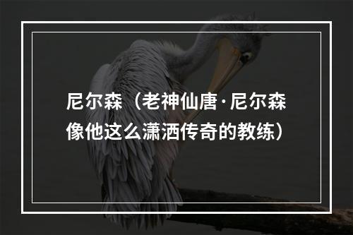 尼尔森（老神仙唐·尼尔森像他这么潇洒传奇的教练）