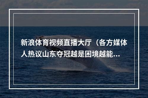 新浪体育视频直播大厅（各方媒体人热议山东夺冠越是困境越能体现坚守的重要性）