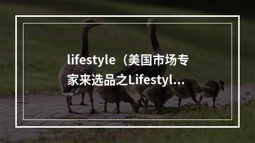 lifestyle（美国市场专家来选品之Lifestyle类）