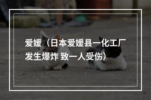 爱媛（日本爱媛县一化工厂发生爆炸 致一人受伤）