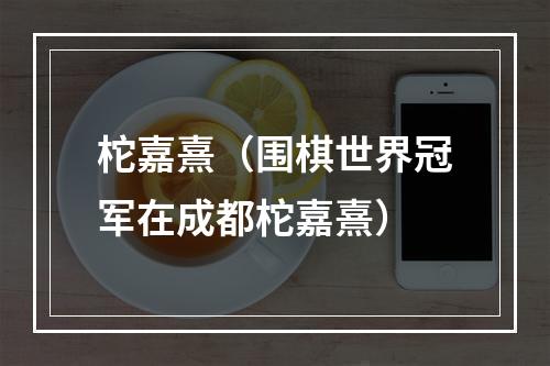 柁嘉熹（围棋世界冠军在成都柁嘉熹）