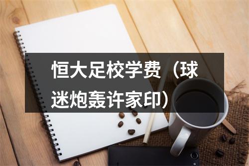 恒大足校学费（球迷炮轰许家印）