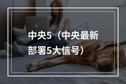 中央5（中央最新部署5大信号）