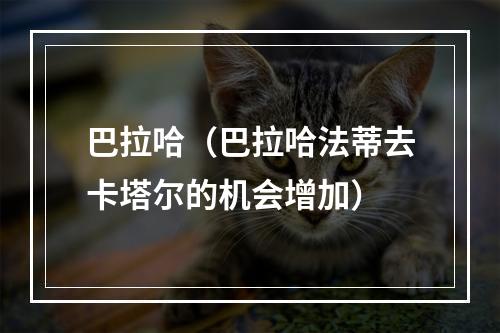 巴拉哈（巴拉哈法蒂去卡塔尔的机会增加）