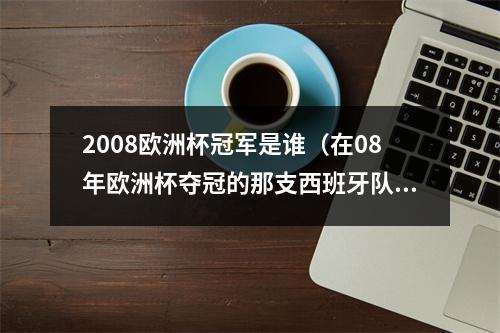 2008欧洲杯冠军是谁（在08年欧洲杯夺冠的那支西班牙队中）