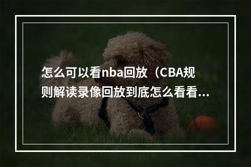 怎么可以看nba回放（CBA规则解读录像回放到底怎么看看完这篇你就全懂了）