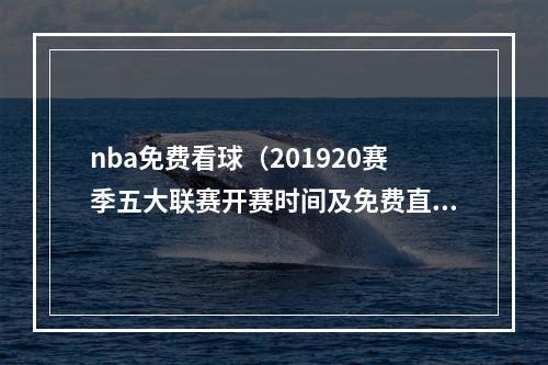 nba免费看球（201920赛季五大联赛开赛时间及免费直播地址）
