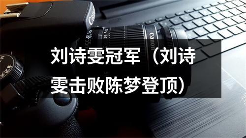 刘诗雯冠军（刘诗雯击败陈梦登顶）