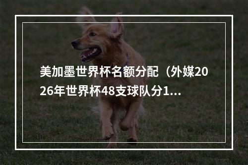 美加墨世界杯名额分配（外媒2026年世界杯48支球队分12个小组）