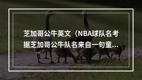 芝加哥公牛英文（NBA球队名考据芝加哥公牛队名来自一句童言无忌）
