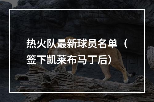 热火队最新球员名单（签下凯莱布马丁后）