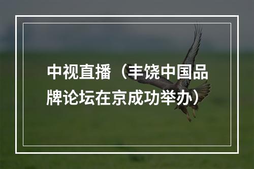 中视直播（丰饶中国品牌论坛在京成功举办）