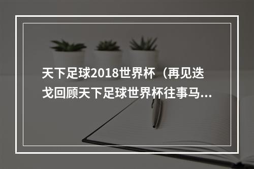 天下足球2018世界杯（再见迭戈回顾天下足球世界杯往事马拉多纳魔鬼与天使）