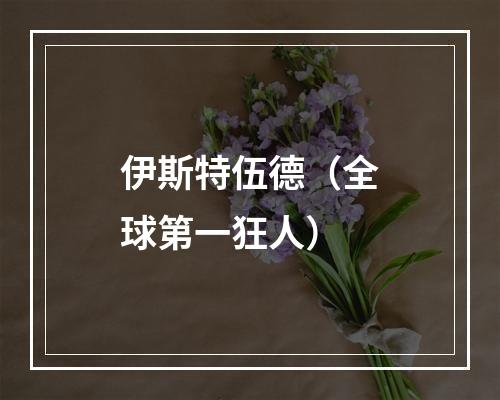 伊斯特伍德（全球第一狂人）