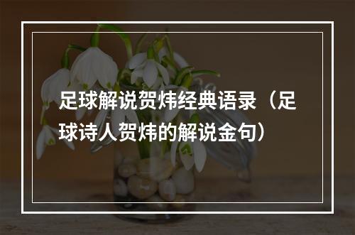 足球解说贺炜经典语录（足球诗人贺炜的解说金句）