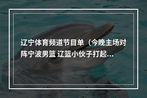 辽宁体育频道节目单（今晚主场对阵宁波男篮 辽篮小伙子打起精神来）