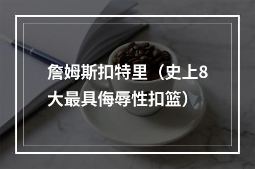 詹姆斯扣特里（史上8大最具侮辱性扣篮）