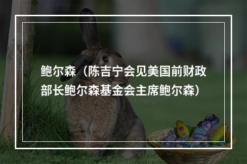 鲍尔森（陈吉宁会见美国前财政部长鲍尔森基金会主席鲍尔森）