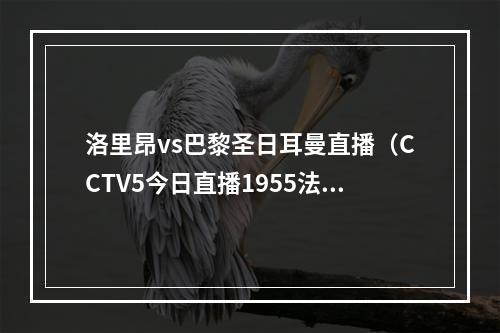 洛里昂vs巴黎圣日耳曼直播（CCTV5今日直播1955法甲第14轮洛里昂巴黎圣日耳曼）